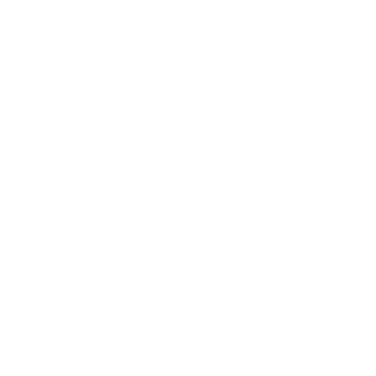 Double Diamond Transport logo